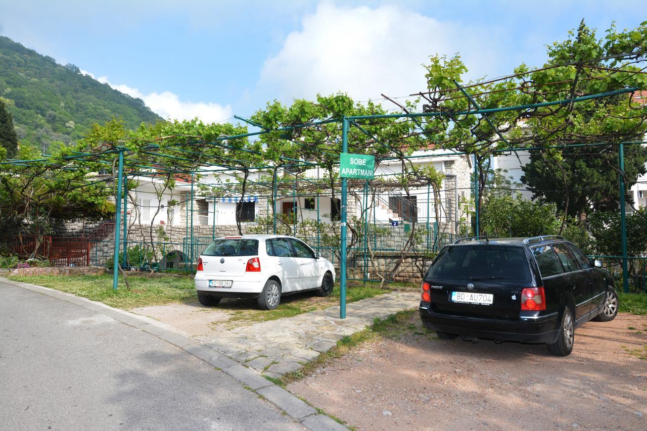 Apartments Jovana Petrovazzo Esterno foto
