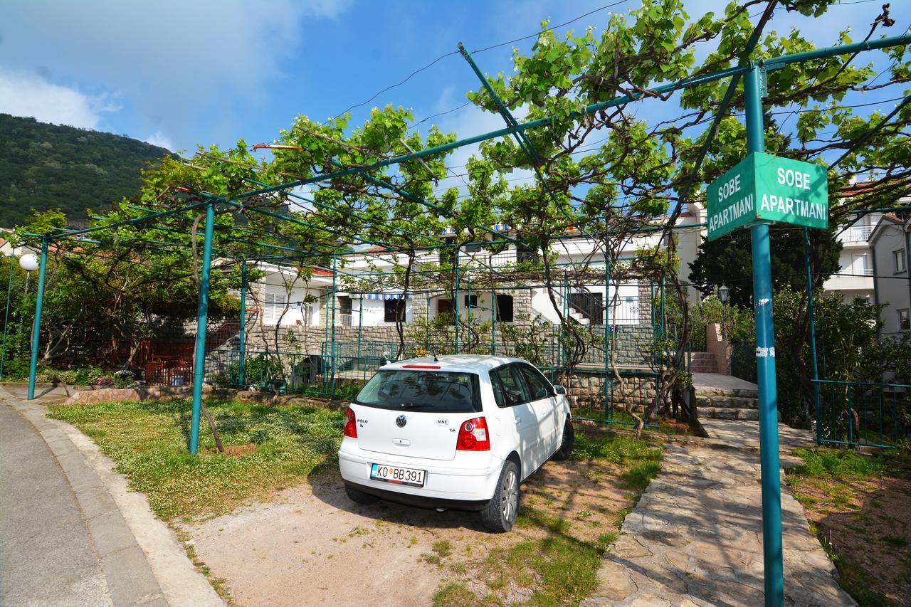 Apartments Jovana Petrovazzo Esterno foto